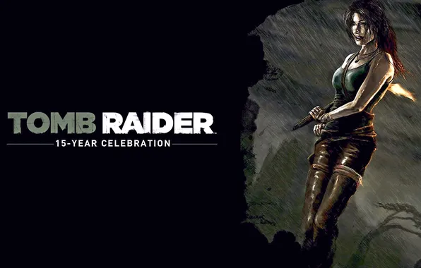 Picture Tomb Raider, game, Lara Croft, 2013