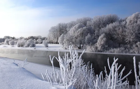 Picture winter, snow, trees, river