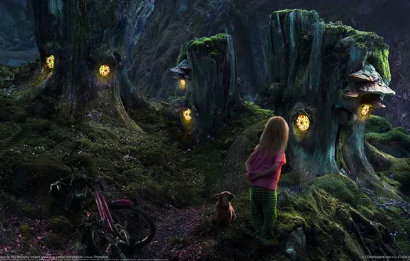 Girl, dog, houses stumps, fairy forest