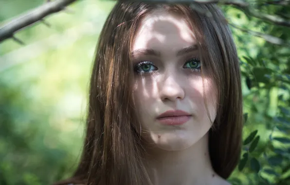 Picture hair, eyes, cutie, face, lips, girl