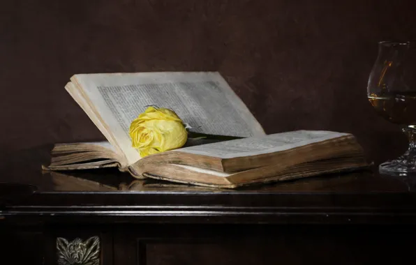 Background, roses, book