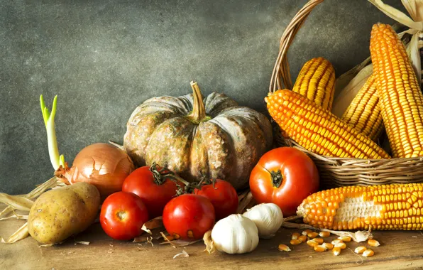 Corn, bow, pumpkin, still life, tomatoes, potatoes, cuts
