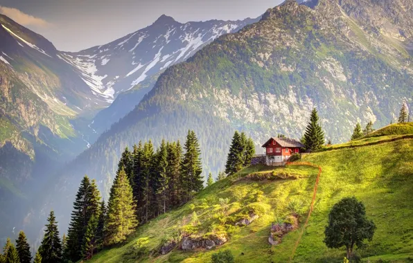 Picture Switzerland, mountain, Alps