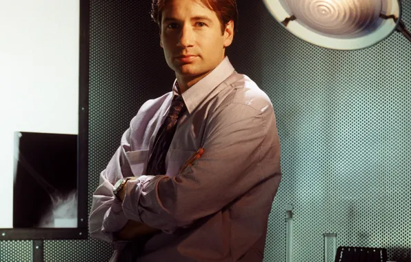 Picture david duchovny, fox mulder, the x-files