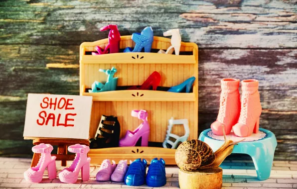 Picture macro, the inscription, plate, toy, Board, snail, shoes, shop