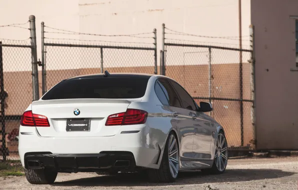 White, bmw, BMW, the fence, white, back, f10, tinted