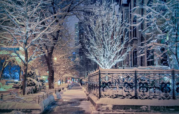 Winter, snow, trees, street, Chicago, Il, Chicago, Illinois
