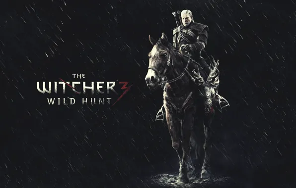 Picture Game, The Witcher, The Witcher 3: Wild Hunt, FuriousGFX