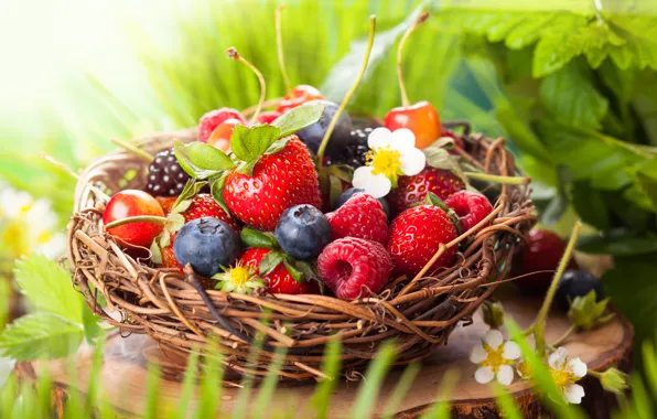 Picture leaves, flowers, berries, raspberry, basket, blueberries, strawberry, cherry