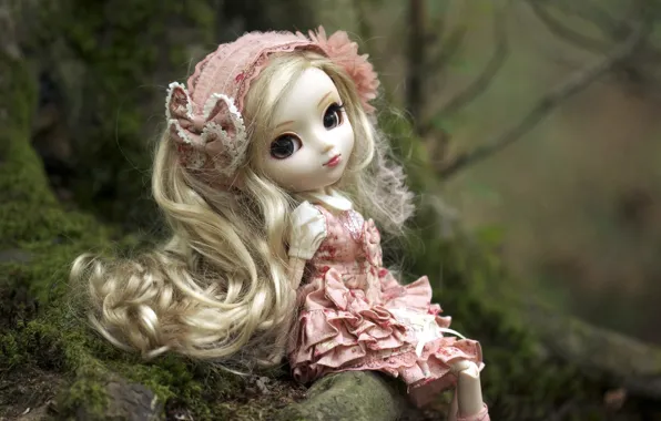 Picture nature, toy, doll, dress, blonde, headband, sitting