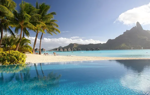 Picture beach, tropics, palm trees, pool, resort, exotic, Laguna