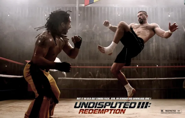Picture Boxing, the ring, Scott Edkins, Scott Adkins, Undisputed III, Redemption, Undisputed 3, Yuri Boyka