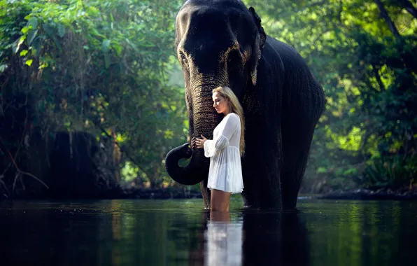 Picture girl, elephant, in the water, Serene