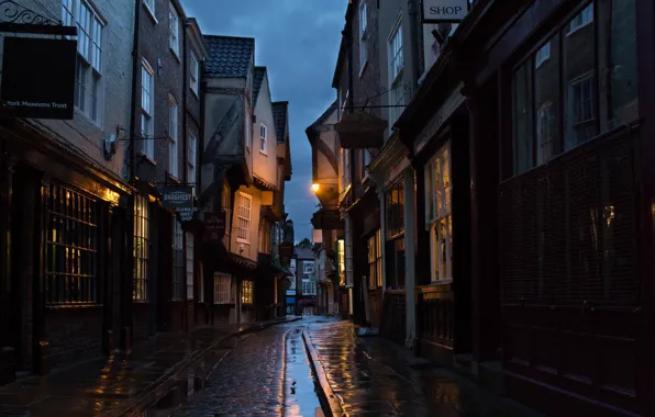 Picture city, lights, windows, wet, night, evening, street, houses