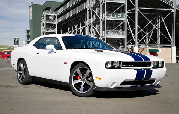 Dodge, SRT8, Challenger, Dodge, 2011, Challenger