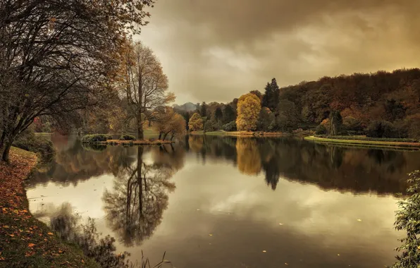 Picture autumn, England, falling leaves, Wiltshire, Stourhead Gardens