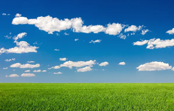 The sky, clouds, field, the countryside, solar, farm