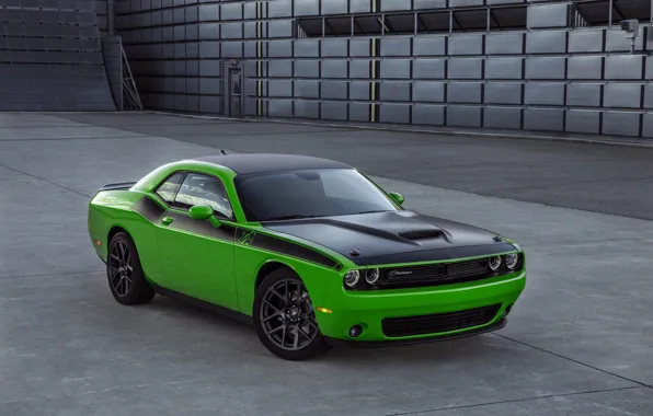 Picture car, machine, lights, the hood, Dodge, Challenger, muscle car, the front