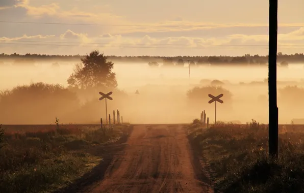 Picture road, field, fog, moving
