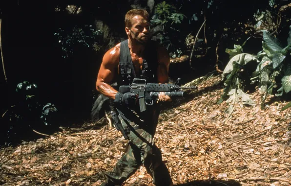 Picture man, jungle, soldiers, actor, Predator, Predator, Arnold Schwarzenegger, Arnold Schwarzenegger