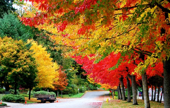Picture road, autumn, trees, foliage, trailer