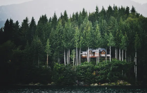 Picture forest, mountains, fog, lake, house, ate