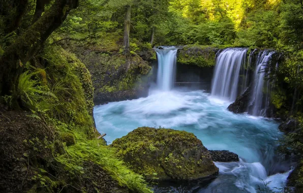 Forest, river, waterfall, Washington, Washington, Columbia River Gorge, the Columbia river gorge, Little White Salmon …