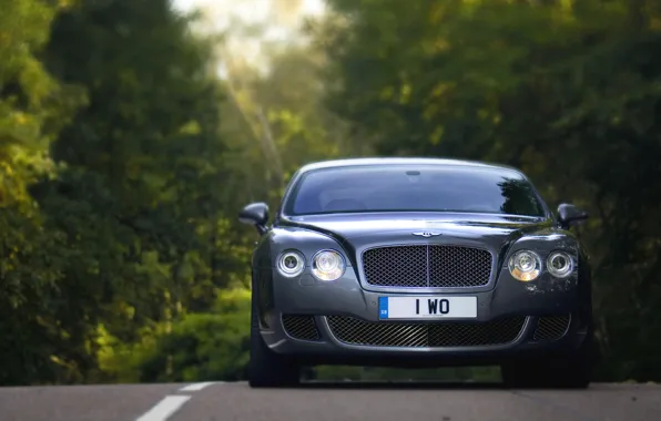 Picture Auto, Bentley, Continental, Forest, grille, Machine, Logo, Grey
