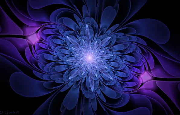 Picture flower, graphics, black background, blue and purple color