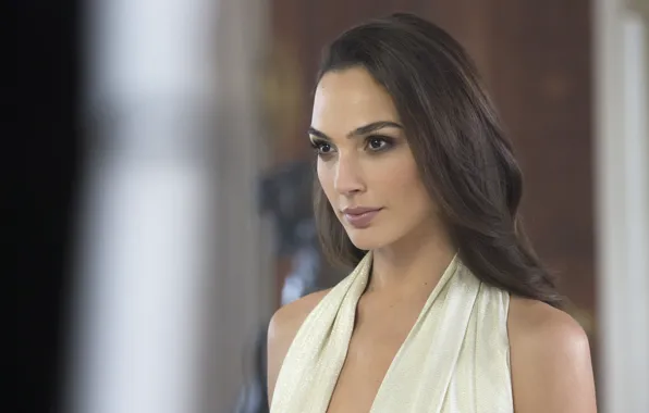 Model, actress, brunette, model, women, brunette, actress, Gal Gadot