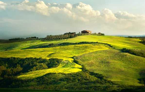House, Italy, vineyard, Tuscany