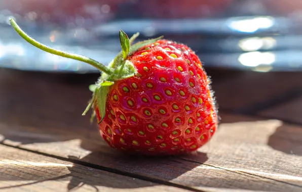 Light, table, Board, strawberry, strawberry, berry, red, one