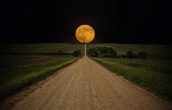 The sky, Field, Road, Night, The moon, The way, Moon, Sky