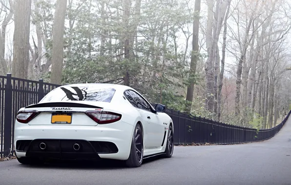 Picture Maserati, The fence, Forest, Tuning, White, Fence, Italy, Rear view