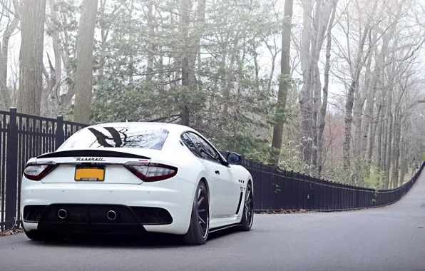 White, Italy, Fence, Maserati, Tuning, Forest, Rear view, The fence