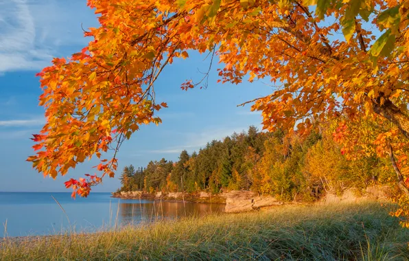 Sea, autumn, forest, the sky, leaves, lake, tree, rocks