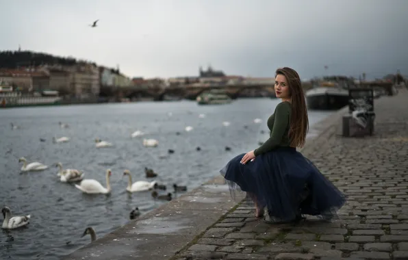 Girl, swans, promenade, Swan
