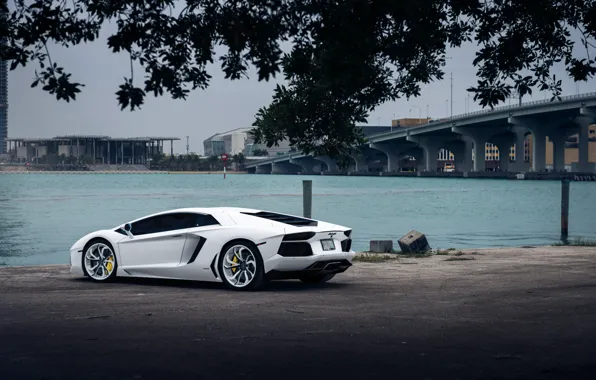 Picture Lamborghini, White, Aventador, Vellano MC Customs