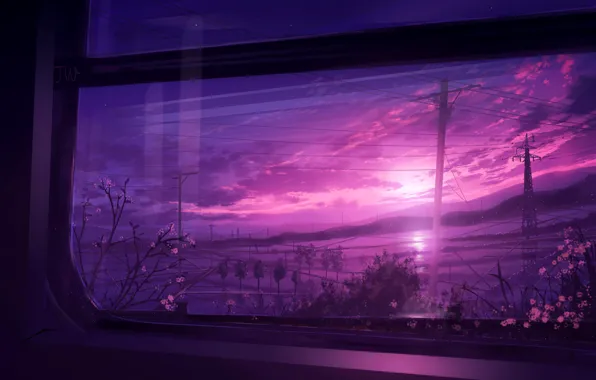 Picture the sky, sunset, nature, spring, the view from the window, rice fields