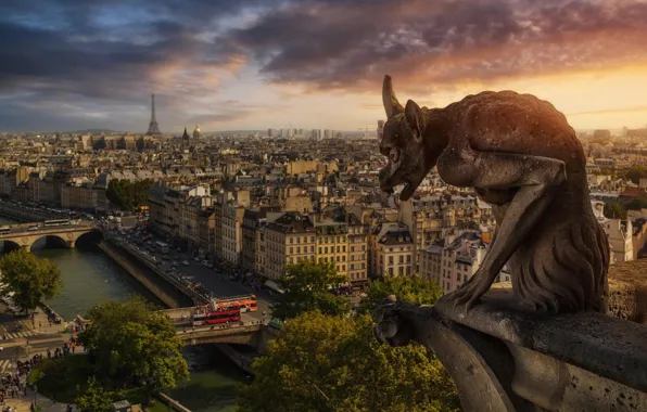 The city, France, Paris, Paris, Notre Dame Cathedral, Notre Dame de Paris, Gargoyle, the Gothic …