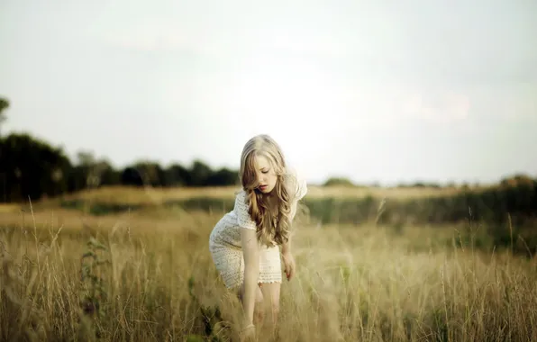 Picture field, summer, girl