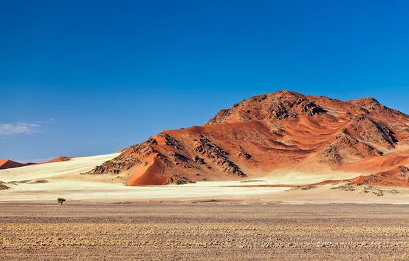 Sand, mountains, tree, desert, namibia, Namibia