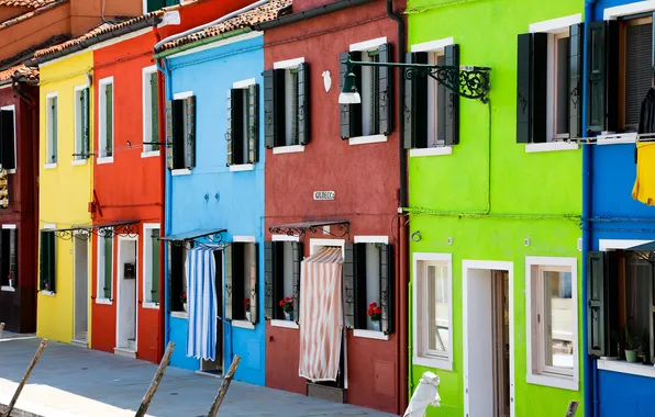 Flowers, paint, Windows, home, Italy, Venice, the sidewalk, Burano island