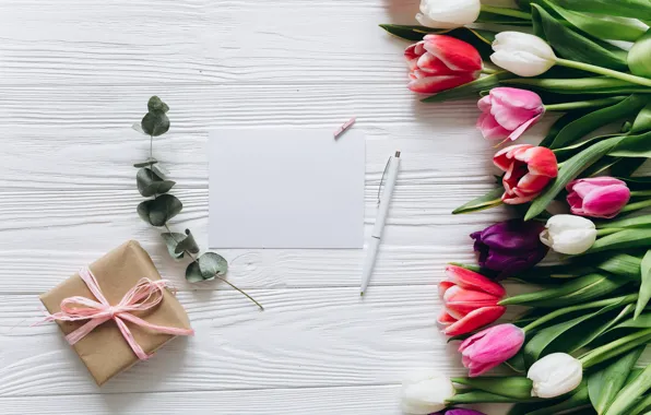 Flowers, gift, colorful, tulips, pink, white, white, fresh