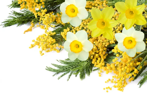 Bouquet, spring, Narcissus, Mimosa
