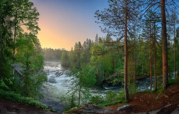 Picture forest, river, Finland