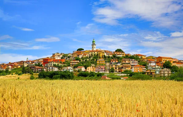 Picture field, Italy, Campaign, Sant'Angelo al Esca