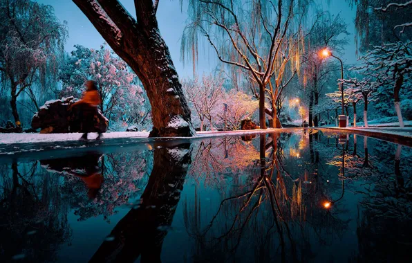 Winter, water, snow, trees, landscape, Park, the evening, lighting