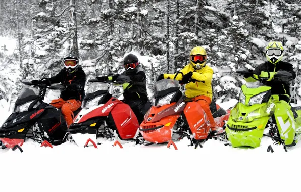 Trees, Snow, Snowmobile, Snowmobile, Ski For