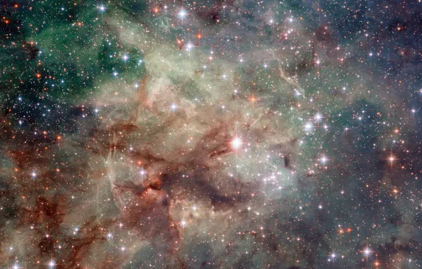 Picture space, stars, the tarantula nebula
